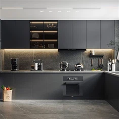 Dark Cabinet Modern Kitchen